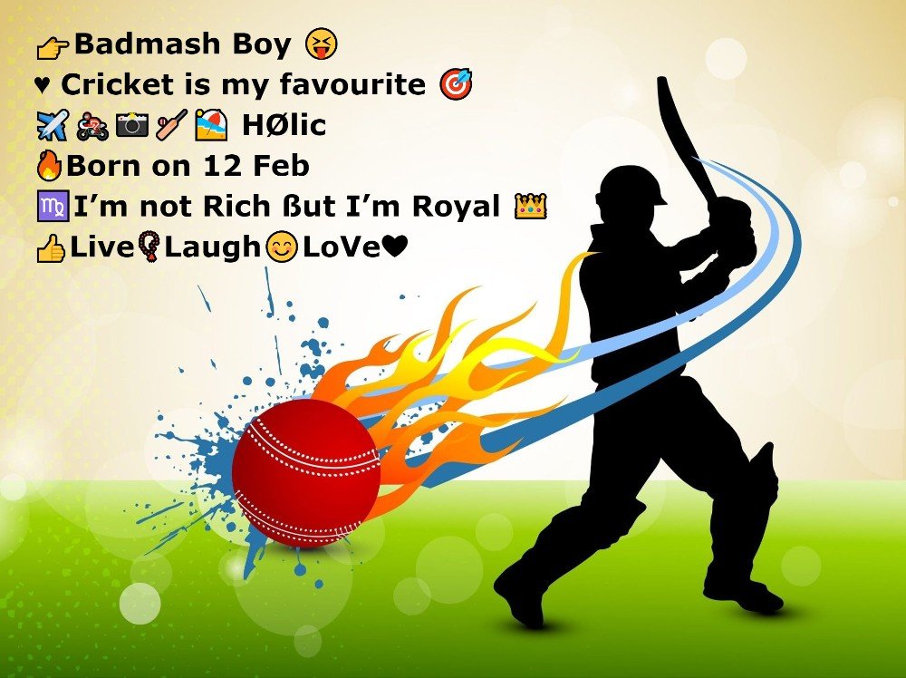 Instagram Bio For Cricket Lovers