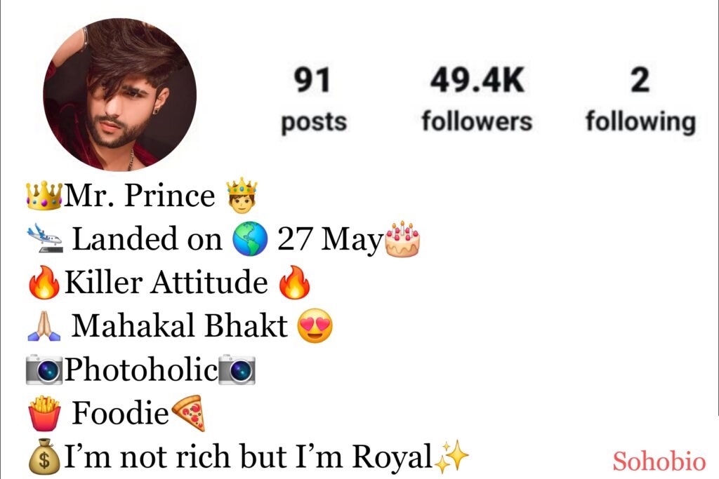 Instagram Bio For Boys Attitude