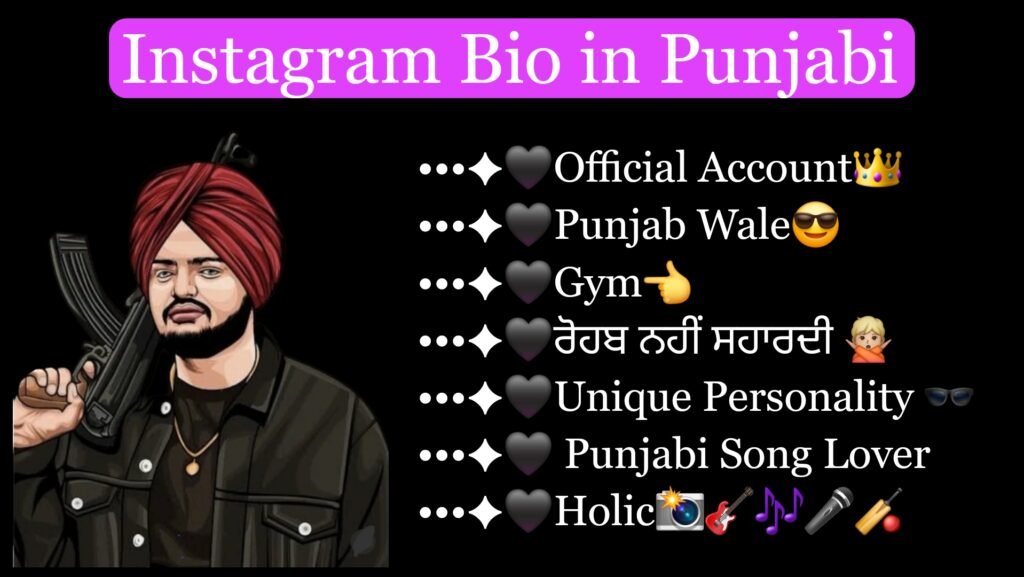 Instagram Bio in Punjabi