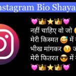 Instagram Bio shayari