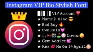 Instagram VIP Bio Stylish Font